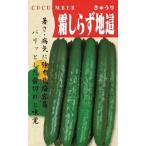 野菜種子 キュウリ「霜しらず地這」 350粒（渡辺採種
