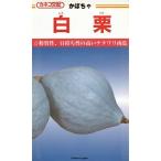  овощи семена регби мяч форма тыква [ белый каштан ] 12 шарик (ka кошка вид рассада )[ включая доставку ].... белый Gris nawatali юг . тыква день держать . высшее мука качество большой долгое время . магазин огород 