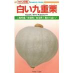  овощи семена тыква [ белый 9 -слойный каштан ] 20 шарик (ka кошка вид рассада )[ включая доставку ]... жребий .... белый ikjuukli юг . тыква высота мука качество . магазин .. количество . самка цветок надеты ..