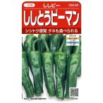 野菜種子 辛くないシシトウ「ししピー」 500粒（サカ
