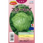 野菜種子 春秋どり結球レタス「スターレイ」 ペレット