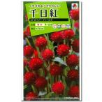  цветок семена тысяч день .[ Strawberry Fields ] 1ml(takii вид рассада )[ включая доставку ]sennichikou тысяч день .sennichi saw перчатка * пурпурный ama Ran подвеска FSE171