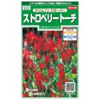  цветок семена Crimson clover [ клубника фонарь ] 2ml( примерно 150 минут )(sakata. tane)[ включая доставку ] Crimson clover выдерживающий холод .