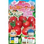  овощи семена розовый серия эллипс мини помидоры [shu канава - tail ] 15 шарик ( наан to вид рассада )[ включая доставку ] высота сахар раз огород . земля * почти .. культивирование высшее . сырой 