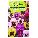  цветок семена анютины глазки [ Швейцария ja Ian to смешивание ] 0.2ml(takii вид рассада )[ включая доставку ] viola три цвет фиолетовый san .. sumire . бабочка цветок прямое владение ... бабочка ..... похоже FPAA30