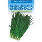 野菜種子 ニラ「スーパーグリーンベルト」 5ml（武蔵