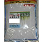 野菜種子 ダイコン「耐病総太り」 ペレット5,000粒（