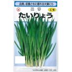 野菜種子 ニラ「たいりょう」 6ml（渡辺採種場）【送