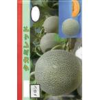  овощи семена красный мясо дыня [takami красный ] 100 шарик ( Япония садоводство производство изучение место )[ включая доставку ]........mak wow li высота сахар раз .. сломан болезнь * udon . болезнь сопротивление .