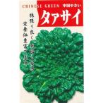 野菜種子 中国野菜「タアサイ」 50ml（丸種）【送料込