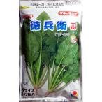野菜種子 ホウレンソウ「徳兵衛」 М3万粒（タキイ種苗