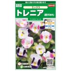 花種子 トレニア「ミックス」 0.05ml（サカタのタネ）
