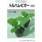 野菜種子 ナス用台木「トルバム・ビガー」 500粒 (渡