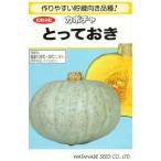  овощи семена тыква [.....] 20 шарик ( Watanabe . вид место )[ включая доставку ]toteoki юг . тыква . магазин направление белый кожа 