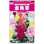 花種子 金魚草「トゥイニー ミックス」30粒（サカタの