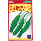 野菜種子 シシトウ「つばきグリーン」 1ml（武蔵野種