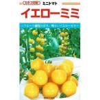  овощи семена мини помидоры [ желтый ушко (уголок) ] 10 шарик (ka кошка вид рассада )[ включая доставку ] лимон желтый выдерживающий болезнь . составной сопротивление . огород высшее . сырой через год культивирование 