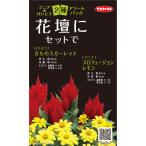 花種子 ジニア×けいとう「2種アソートパック」 けいと