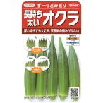 野菜種子 長持ち太いオクラ「ずーっとみどり」 4ml（