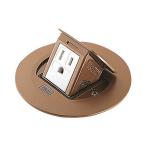  Panasonic (Panasonic) жилье для F type выше темно синий круглый 1ko. earth есть дуб 2P 15A 125V DU1102DK