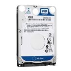Western Digital Bare Drives 320GB WD Blue SATA III 5400 RPM 8 MB Cache Bulk