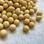 ショッピング味噌 大豆 味噌用 未選別 30kg 2025年産 令和7年産 北海道産 とよまさり ユキホマレ 送料無料 業務用紙袋 ※例年より割れが多くなっております