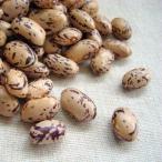  средний длина ... бобы 200g 2025 год производство . мир 7 год производство Hokkaido производство бесплатная доставка почтовая доставка [M рейс 1/2]