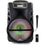 beFree Sound 12 Inch Bluetooth Rechargeable Portable PA Party Speaker with Reactive LED Lights  Black　並行輸入品