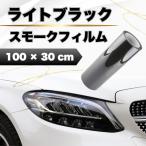  передняя фара тонировочная пленка защитный корпус voxy bmw покрытие наклейка царапина удаление пожелтение потускнение 