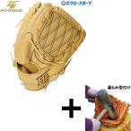 【湯もみ型付け込み/代引、後払い不可 】野球 ハイゴールド Hi-Gold 硬式グローブ グラブ 技極 プロフェッショナルシリーズ 投手 投手用 ピッチャー WKG-4191 野