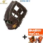【プロティオス型付け込み/代引、後払い不可 】野球 ハイゴールド Hi-Gold 硬式グローブ グラブ 技極 プロフェッショナルシリーズ 二塁手用 遊撃手用 WKG-4094