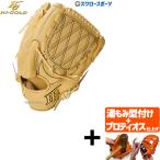 【プロティオス型付け込み/代引、後払い不可 】野球 ハイゴールド Hi-Gold 硬式グローブ グラブ 技極 プロフェッショナルシリーズ 投手 投手用 ピッチャー WKG-4