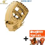 【プロティオス型付け込み/代引、後払い不可 】野球 ハイゴールド Hi-Gold 硬式グローブ グラブ 技極 プロフェッショナルシリーズ 二塁手用 遊撃手用 WKG-4194