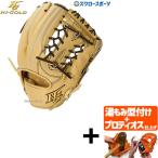 【プロティオス型付け込み/代引、後払い不可 】野球 ハイゴールド Hi-Gold 硬式グローブ グラブ 技極 プロフェッショナルシリーズ 三塁手用 オールポジション用