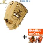 【プロティオス型付け込み/代引、後払い不可 】野球 ハイゴールド Hi-Gold 硬式グローブ グラブ 技極 プロフェッショナルシリーズ 遊撃手用 二塁手用 WKG-4196