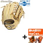 【プロティオス型付け込み/代引、後払い不