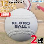  бейсбол софтбол nagase Kenko новый стандарт новый дизайн 12 дюймовый одобренный мяч 3 номер лампочка 3 номер мяч модификация соревнование лампочка соревнование для soft для мяч комплект 1 лампочка ввод (2 шт ) S12C6 бейсбол сопутствующие товары s