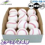  бейсбол поле сила мяч бейсбол тренировка A комплектация бейсбол тренировка лампочка дюжина 2 комплект FKB-35015-2 Fieldforce для бейсбола бейсбол бейсбол бейсбол сопутствующие товары swallow спорт 