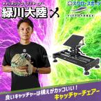  бейсбол поле сила тренировка catcher стул -FCAC-222M Fieldforce бейсбол сопутствующие товары swallow спорт 