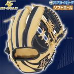 野球 ハイゴールド ソフトボール グローブ グラブ ベーシックシリーズ BSG8650 HI-GOLD 新商品 野球用品 スワロースポーツ
