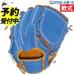 野球 アイピーセレクト 限定 軟式グローブ グラブ プ