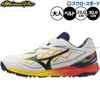 野球 ミズノ ミズノプロ クッションレボダイア トレーニングシューズ アップシューズ トレシュー マジックテープ ベルト ベルクロ式 限定 大人用 一般用 11GT262