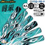  бейсбол Mizuno Mizuno Pro софтбол для bat карбоновый AX4 soft для 12 дюймовый резина мяч для ограничение .. нефрит HISUI для взрослых общий 1CJFSA02 MIZUNO бейсбол сопутствующие товары 