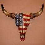 ショッピングウエスタン ウエスタン フィギュア ＆ インテリア US フラッグ スカル ハンガー RA6539