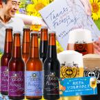 2025 父の日 プレゼント ビール ギフト ちょっと贅沢 金賞 父の日6本 詰め合わせ 飲み比べギフト クラフトビール スワンレイクビール