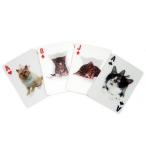 3D ネコ トランプ メール便可能 3-D Cat Playing Cards猫のトランプ Kikkerland 雑貨