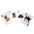  Kicker Land 3D кошка карты 3D Cat Playing Card кошка. карты Kikkerland