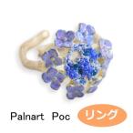 パルナートポック  リング ガクアジサシ 　Palnart Poc ブラフシューペリア 2002