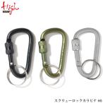 HighMOUNT( High Mount ) винт блокировка kalabina#6 почтовая доставка 