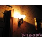 ミニチュア　12V照明　ウォールランプ　ディッシュ型　MW786A21　ドールハウス用